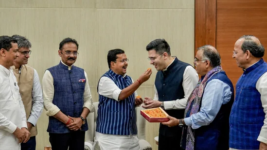 Rajya Sabha Chair Accepts Raghav Chadha, 6 AAP MPs’ BJP Merger; NDA Strengthens in Upper House