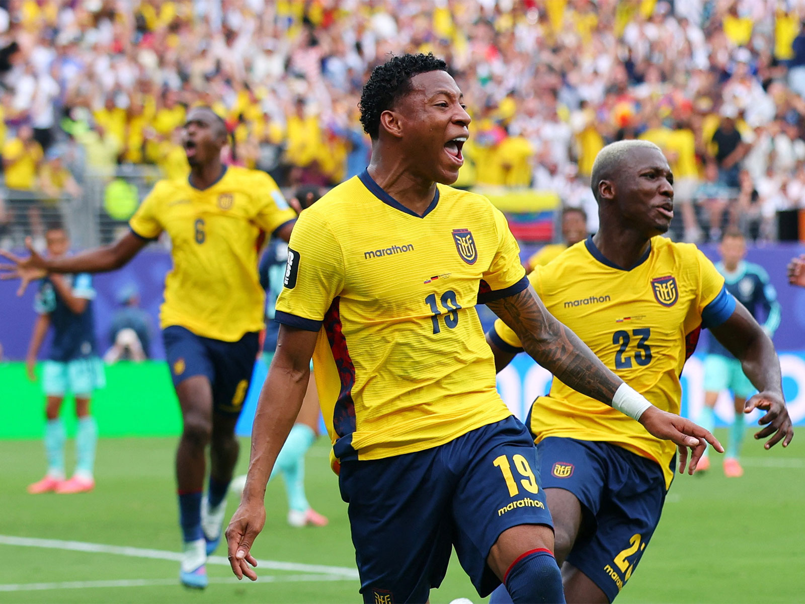 Ecuador World Cup Knockout Spot